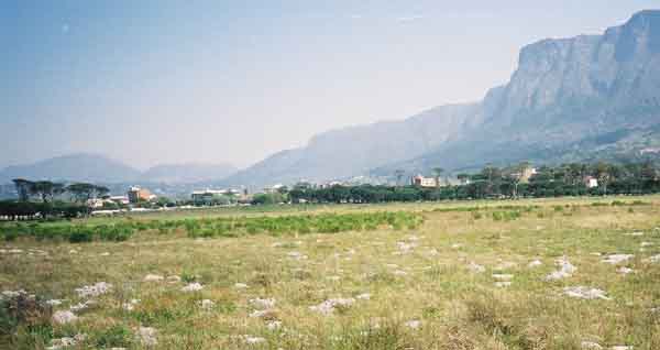 Rondebosch Common